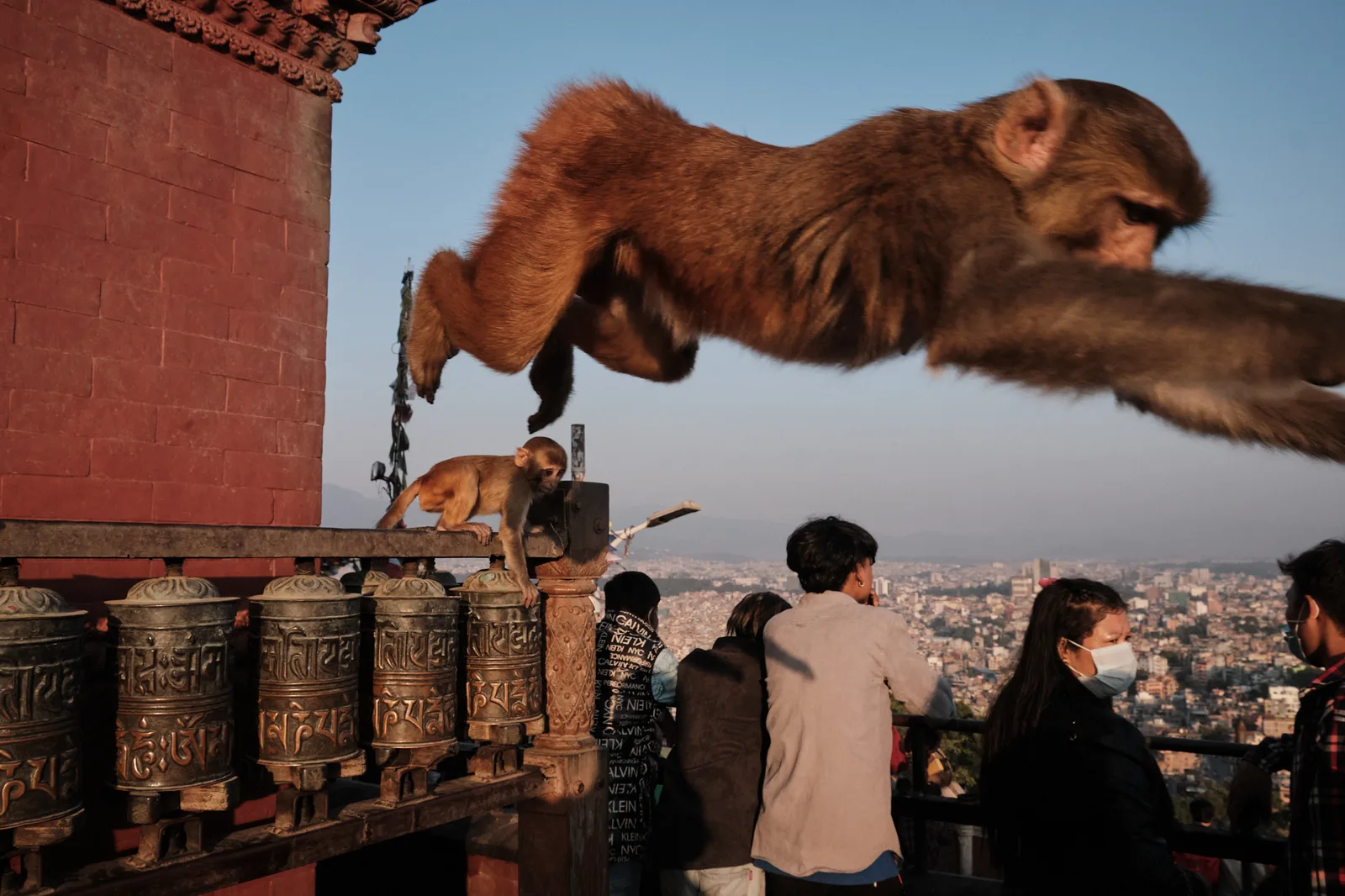 Monkey Temple