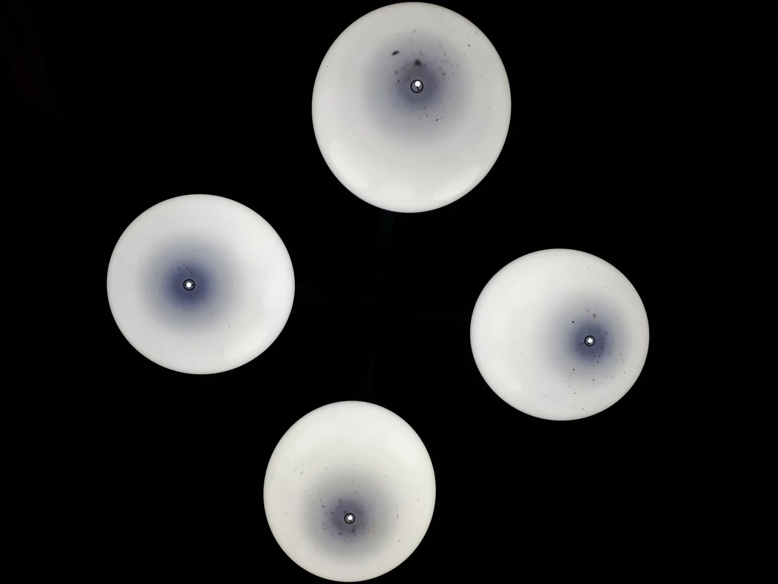 Lunae