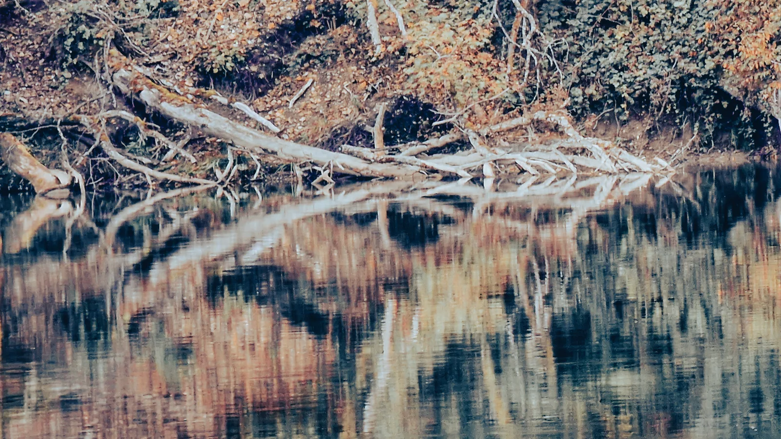 the other side