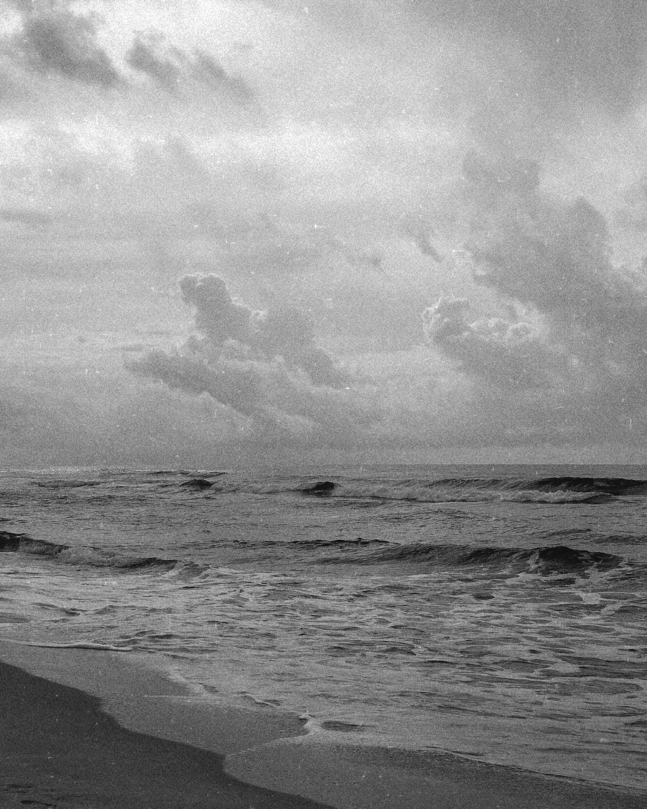 Adrienne-Holton_Florida