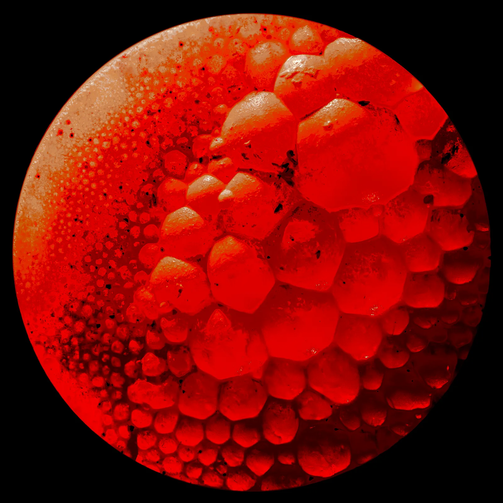 Mars-2