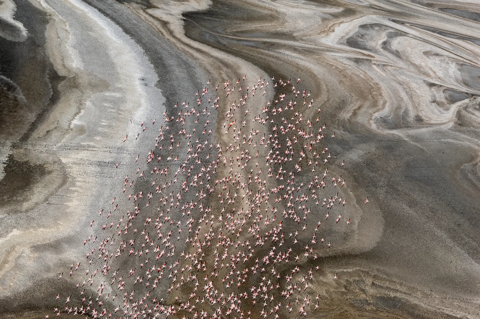 Lake Magadi 2