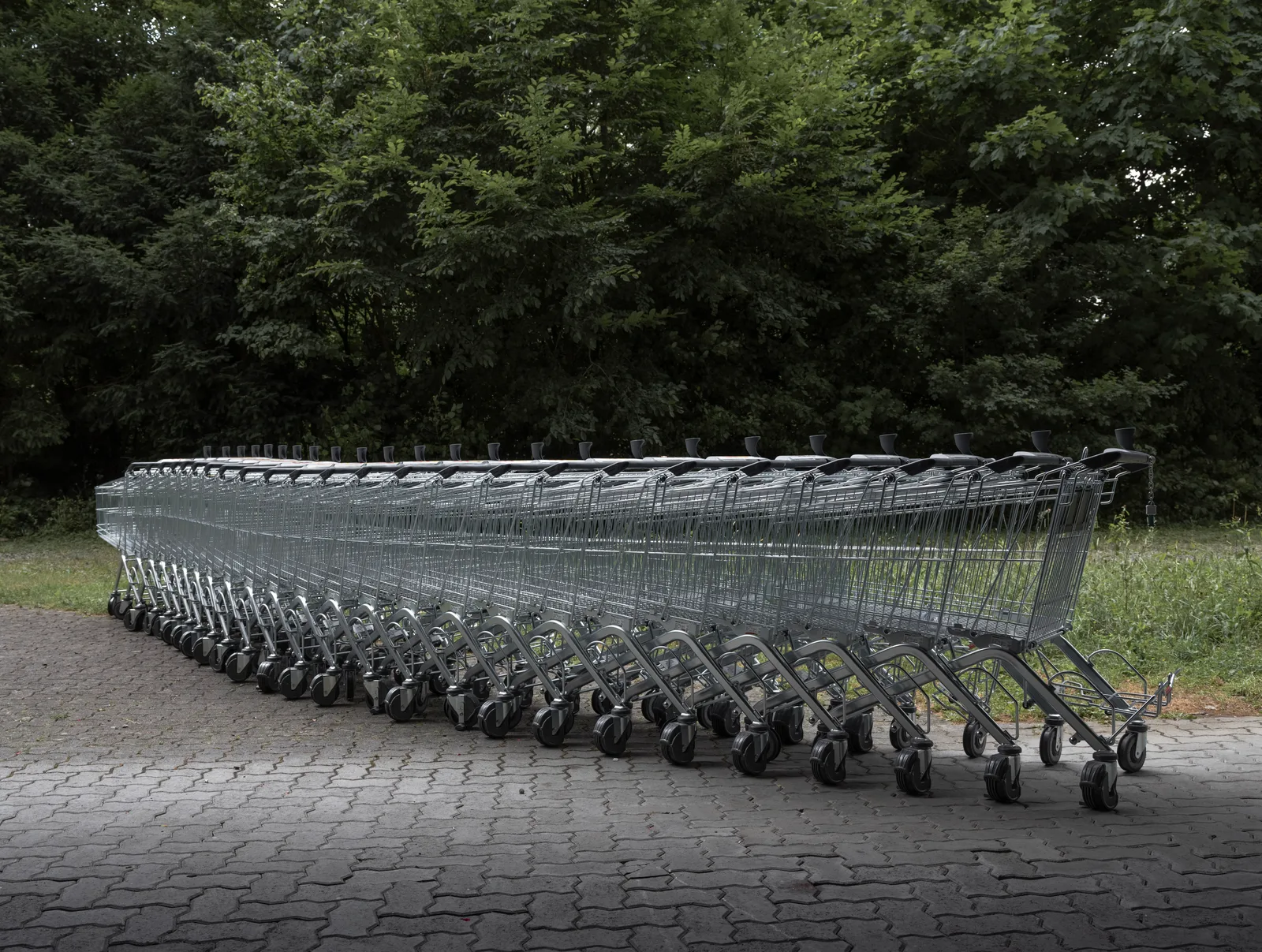 Shopping Vehicle
