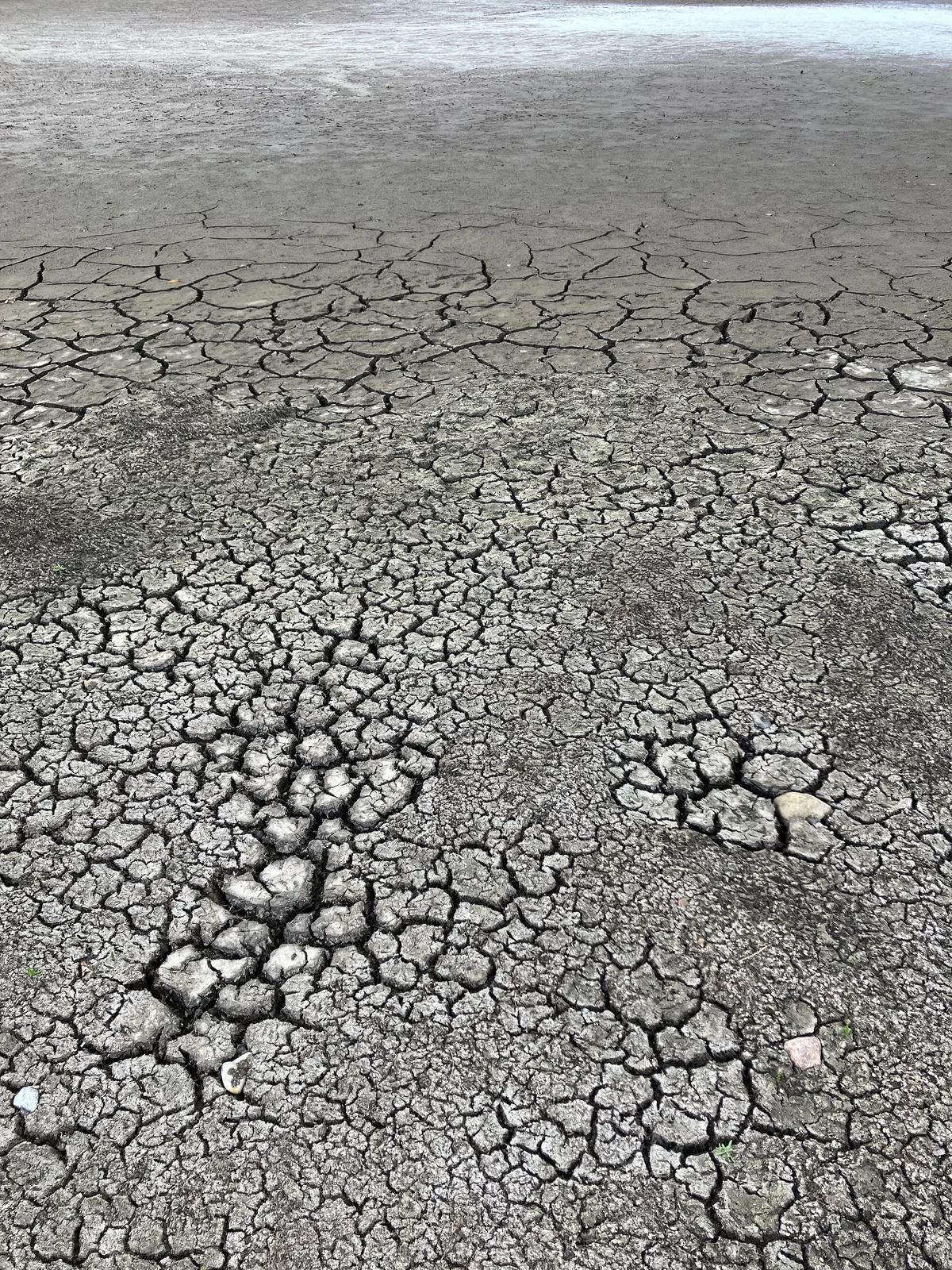 Crackling Soil