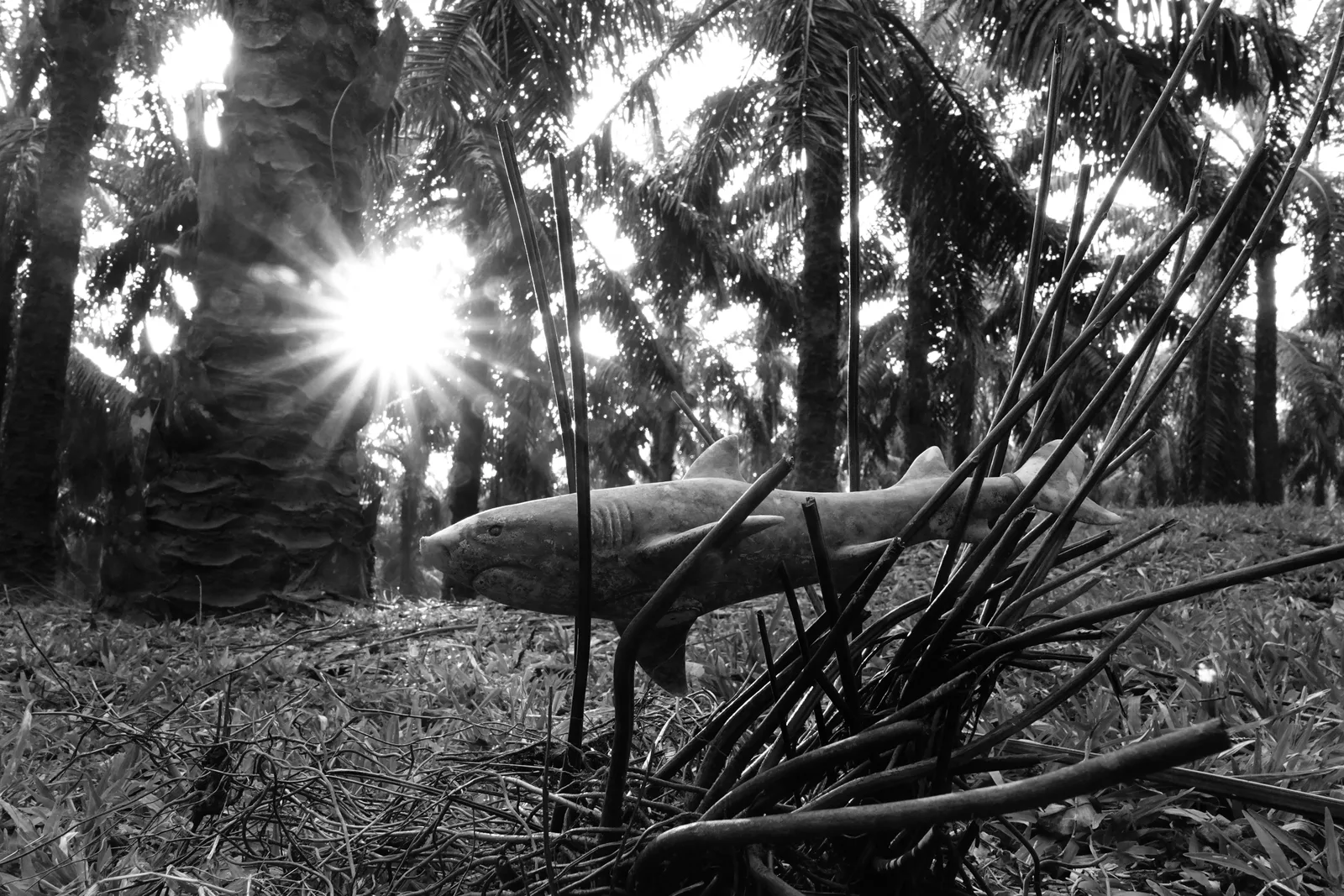 SunBoon%20Ng_Reinventing%20Life_3