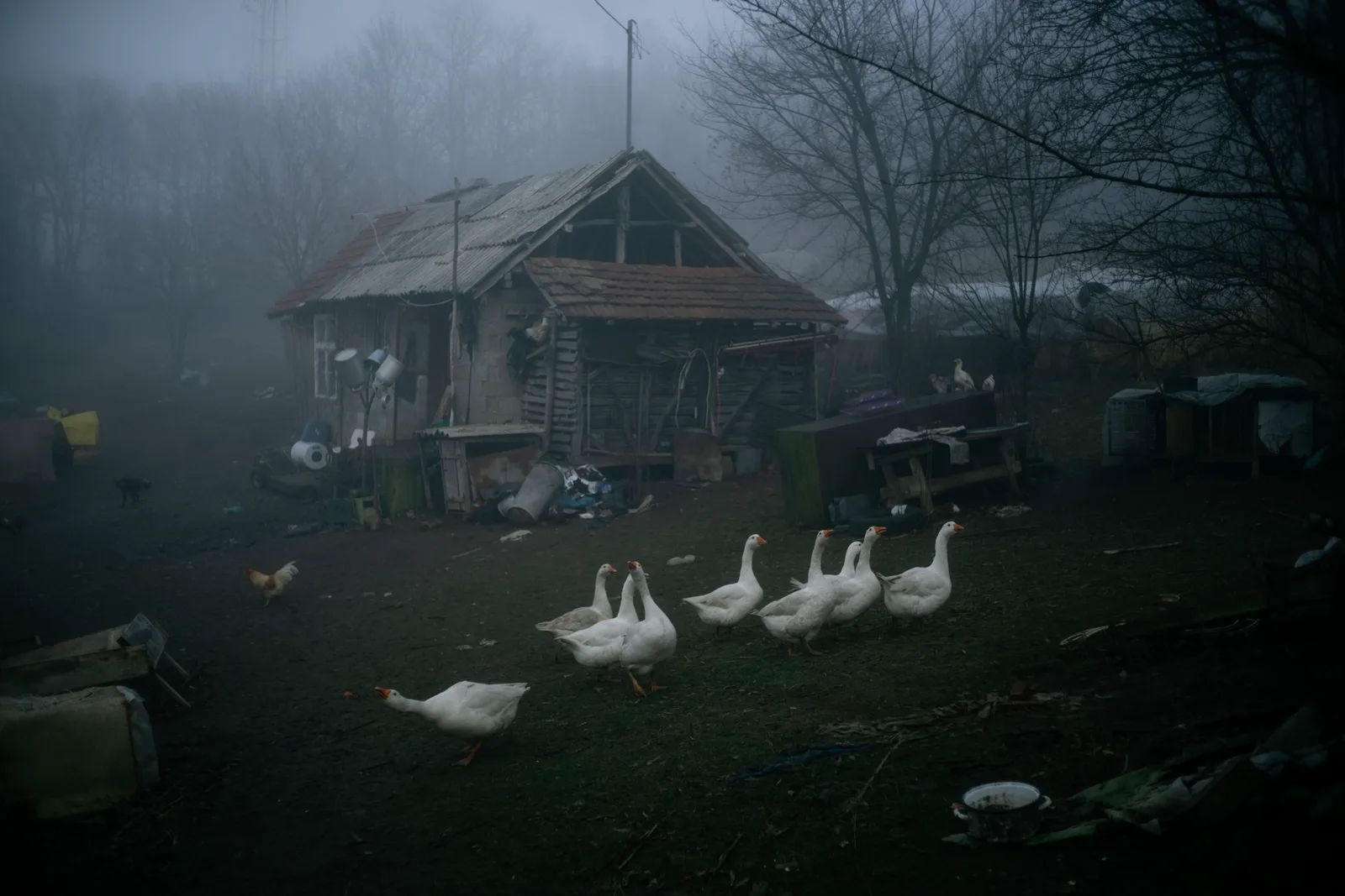 Stefan Pavic_Growing up in light_002
