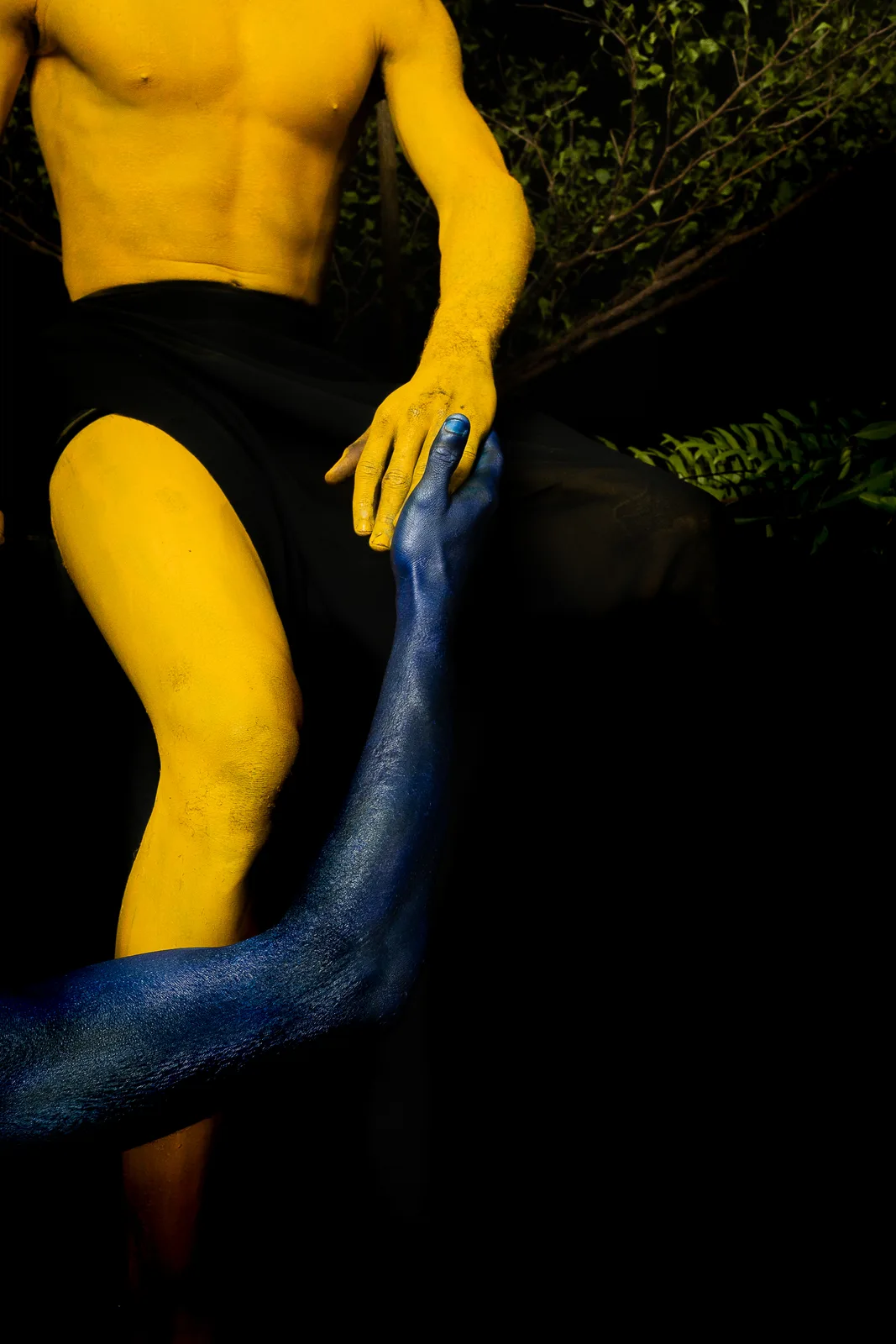 A2_832A0079