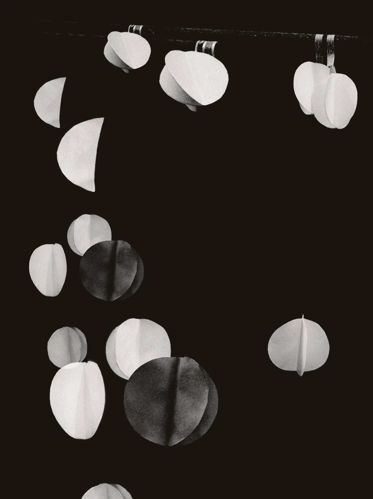 Ma Continuum, 2019