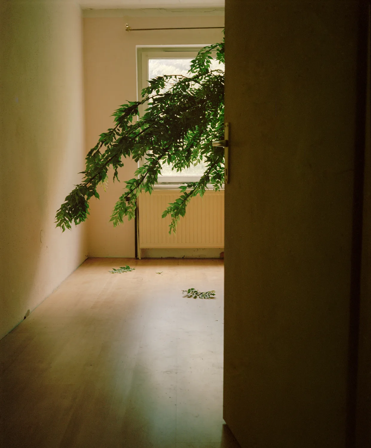 PeterPfluglerNow-is-not-the-right-time__020 - Isabel Lazaro