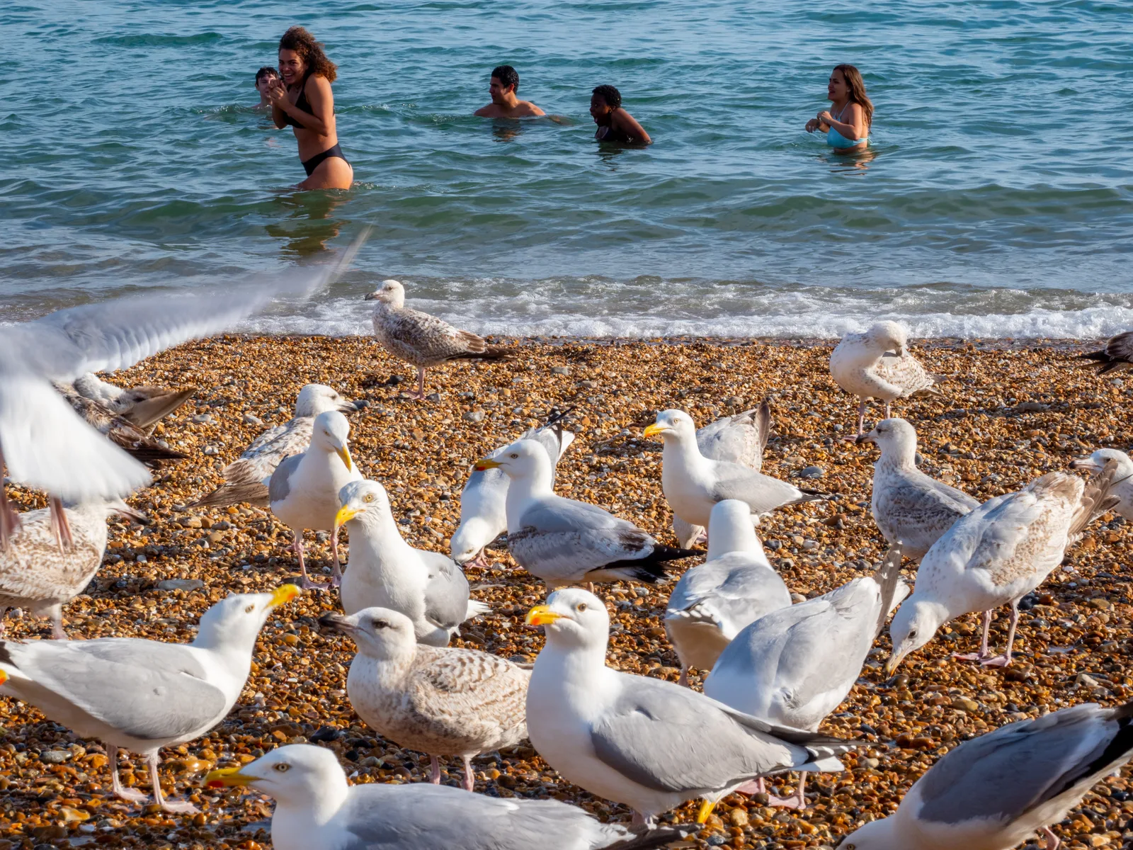 Peter-Dench_Seaside04