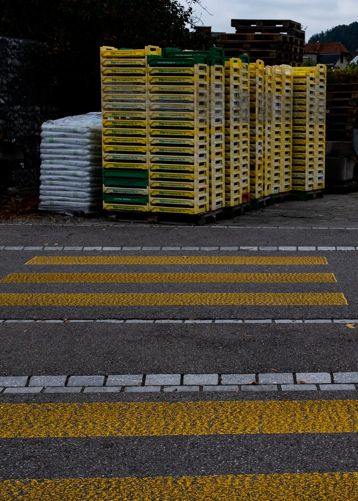 the daily urban colors 2