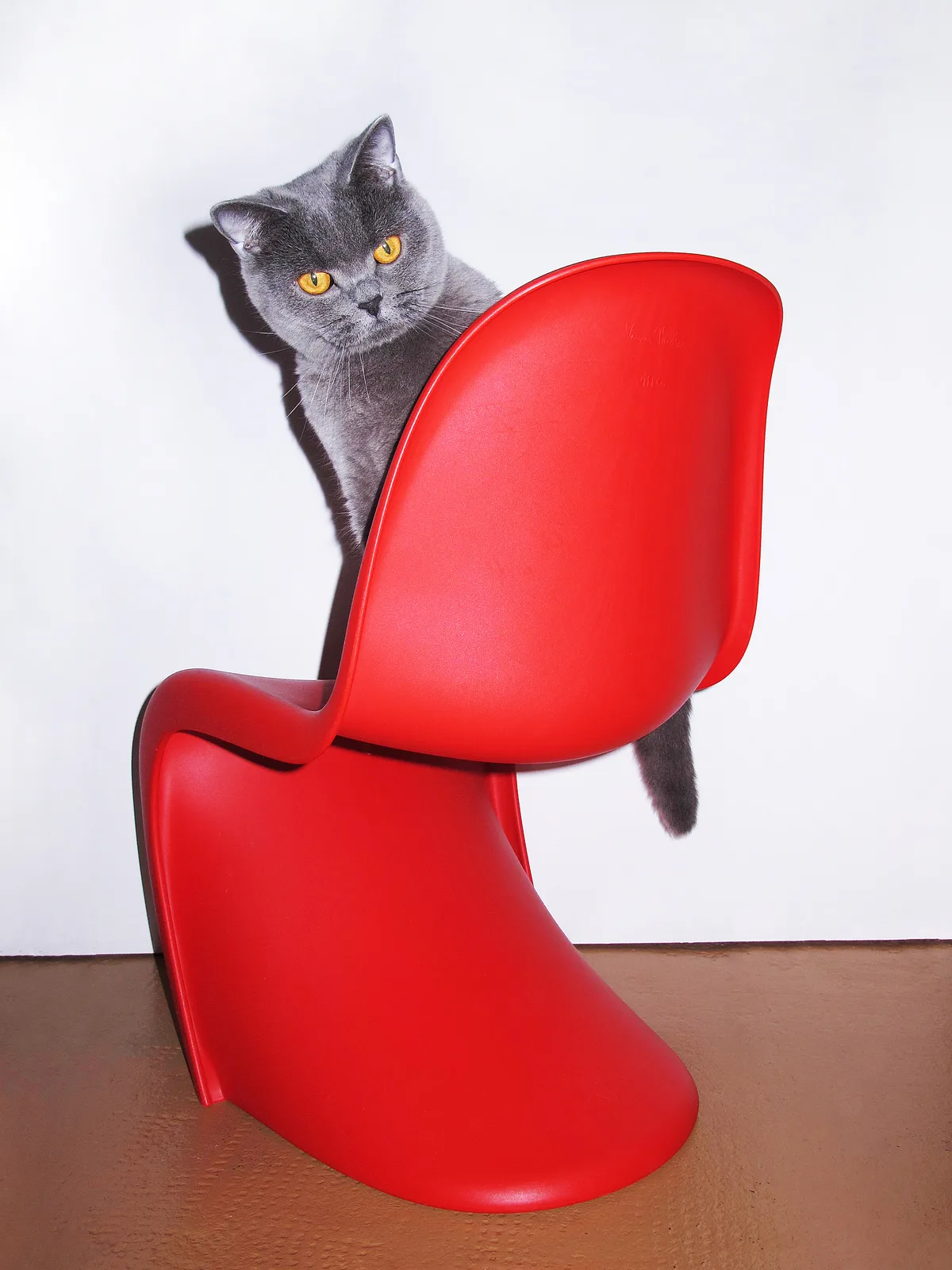 Panton Throne
