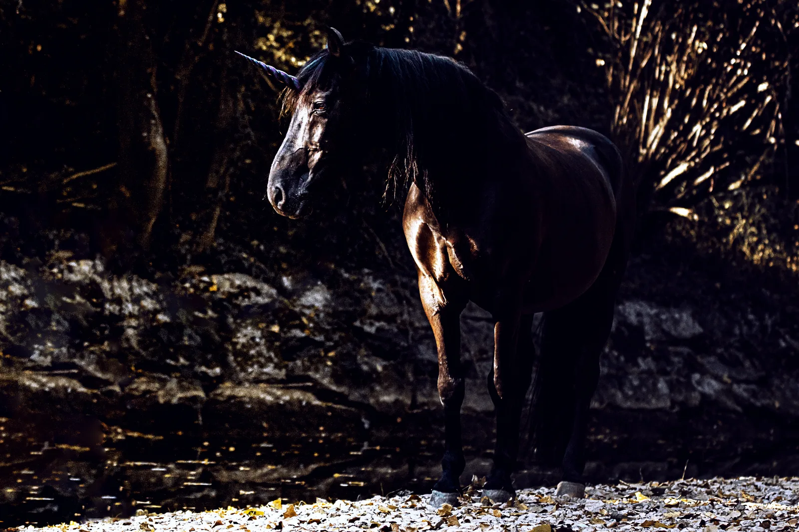Black Unicorn
