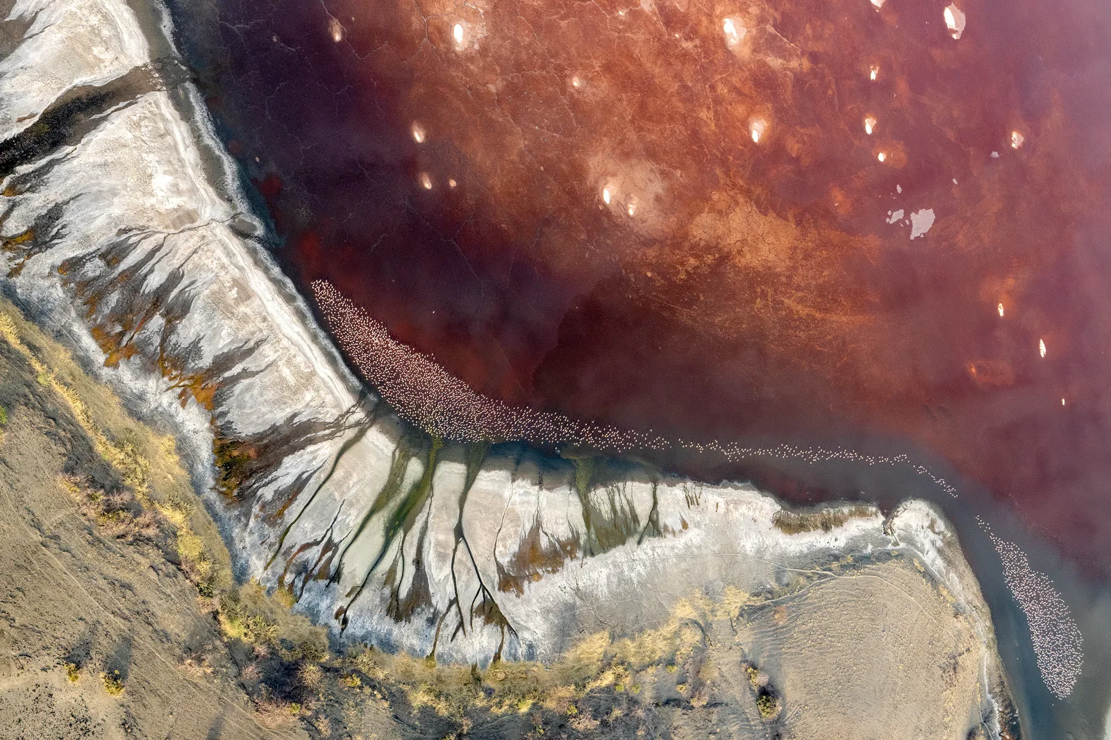 Lake Magadi 1