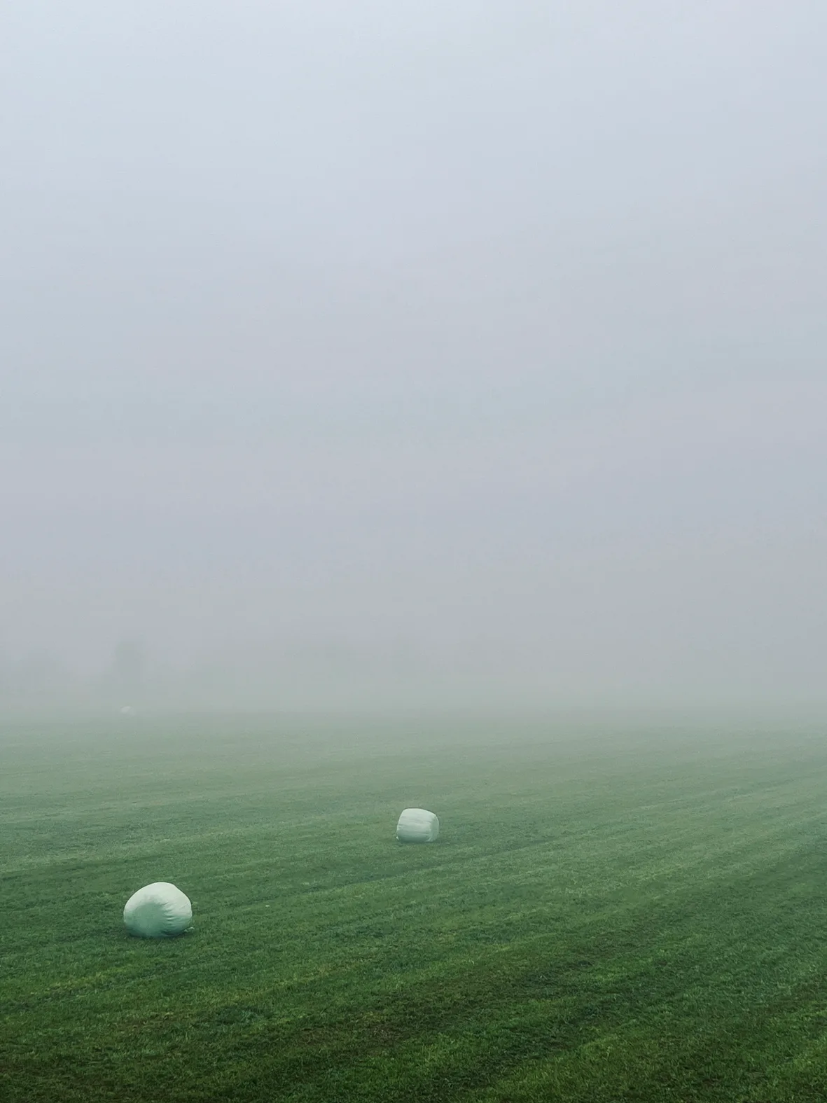 Nebel, verpackt