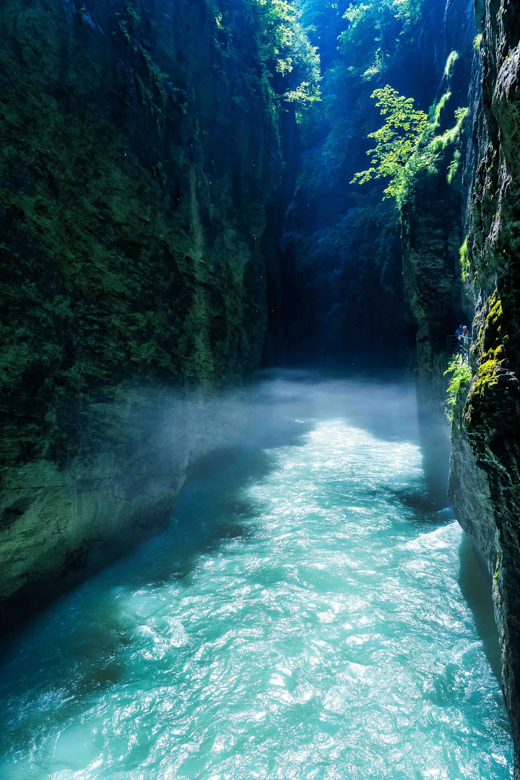 Aareschlucht 05