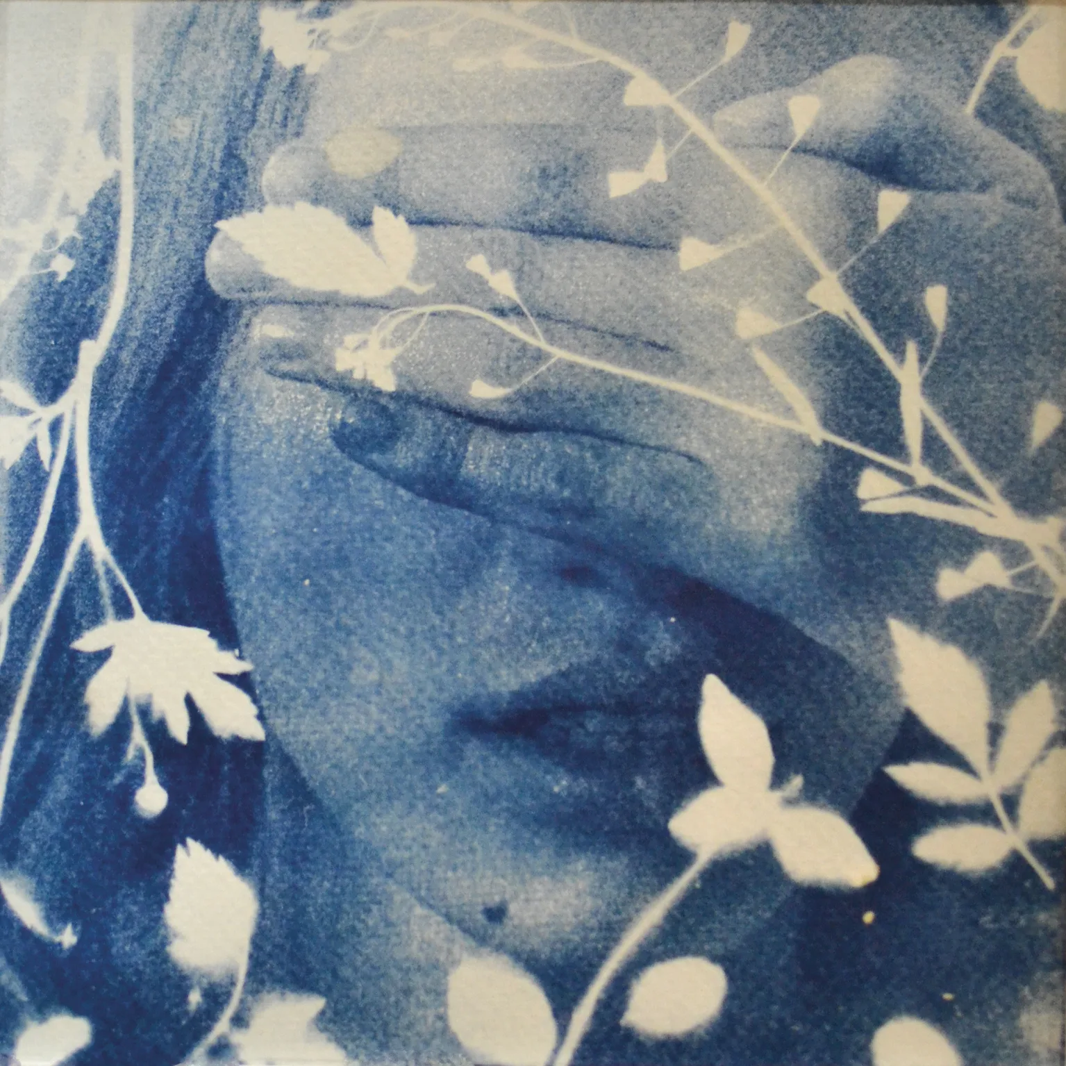 Bohdana-Tkach_Flower%20or%20creation